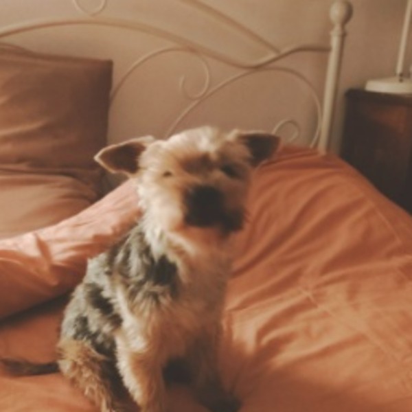 Gus