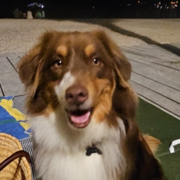 Photo de Banjo