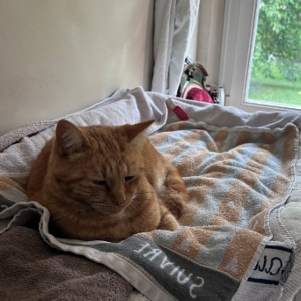Photo de Figaro