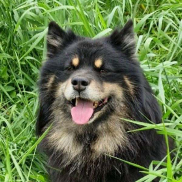 Olympe
