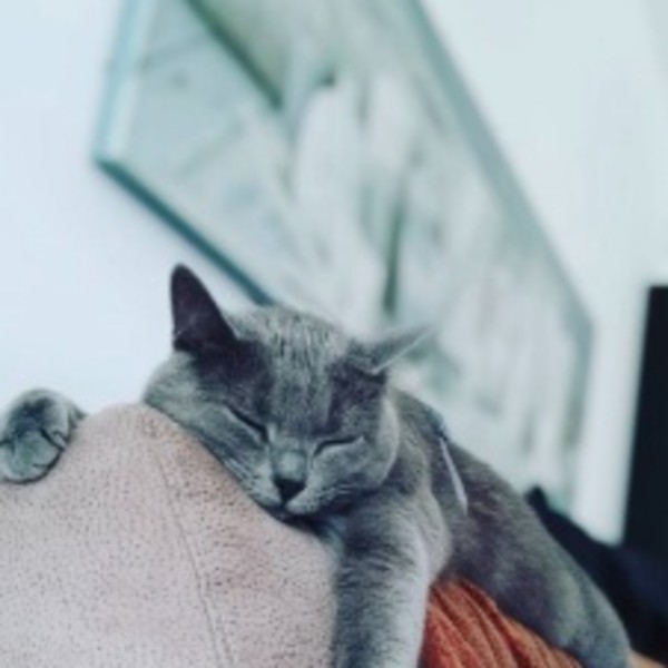 Lou