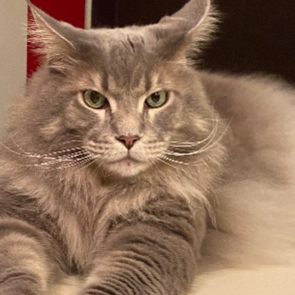 Photo de MARLEY