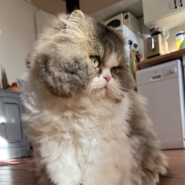 Photo de Sergio