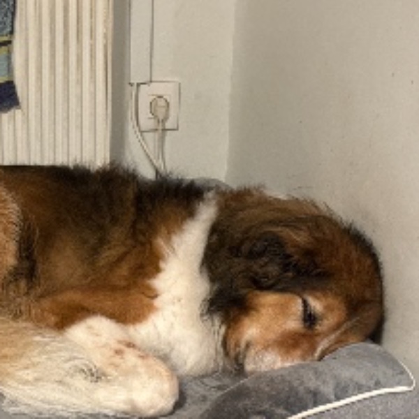 Photo de Jazz