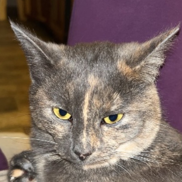 Akira