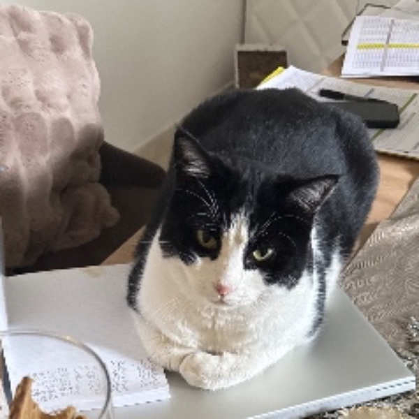 Photo de Hécate