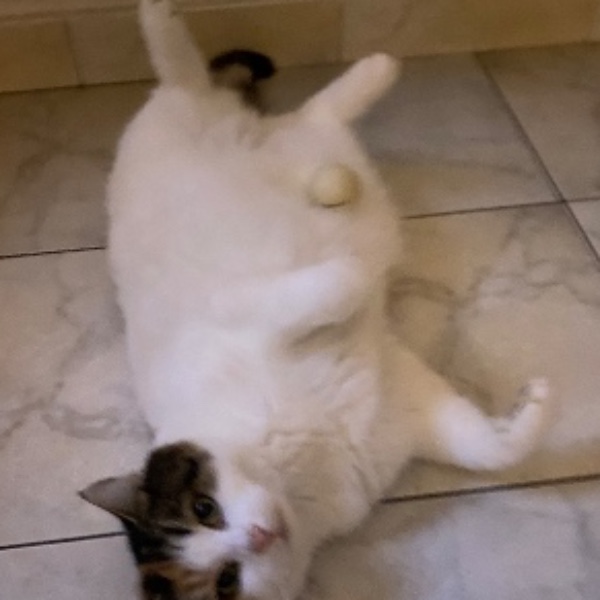 Mia