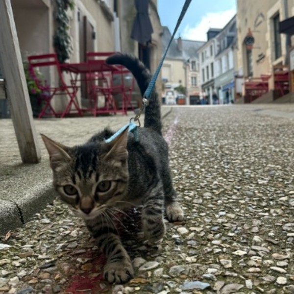Photo de Margaux
