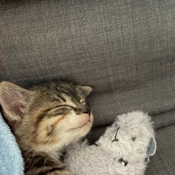 Photo de Molly