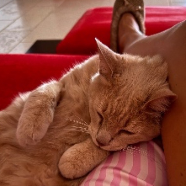 Mascha