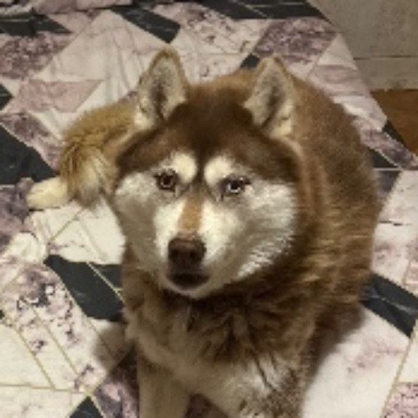 Naïa