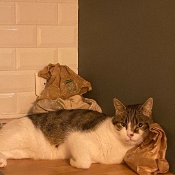 Photo de Oscar