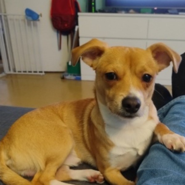 Photo de Lucky