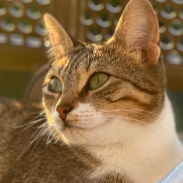 Kiara