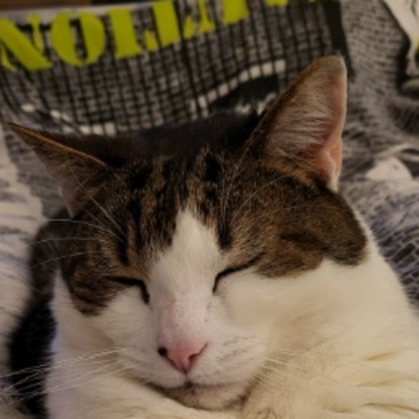 Photo de Maxou