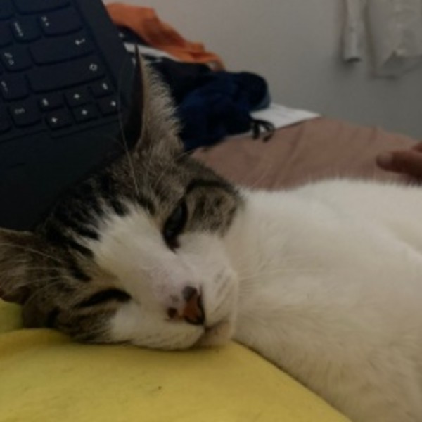 Doudou