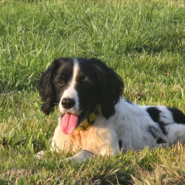 Photo de Jipsie