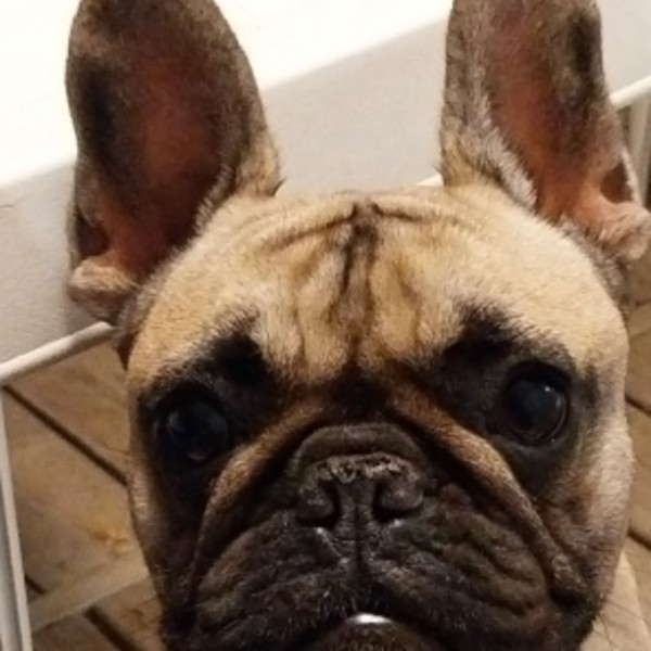Photo de Siya