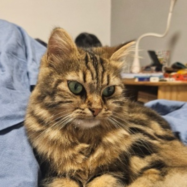 Photo de Zoé