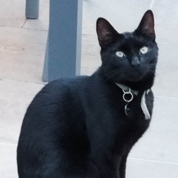 Titus