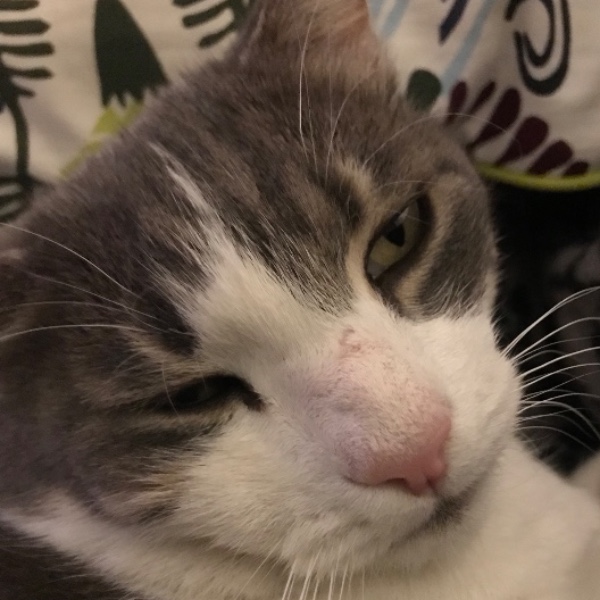 Photo de Bob