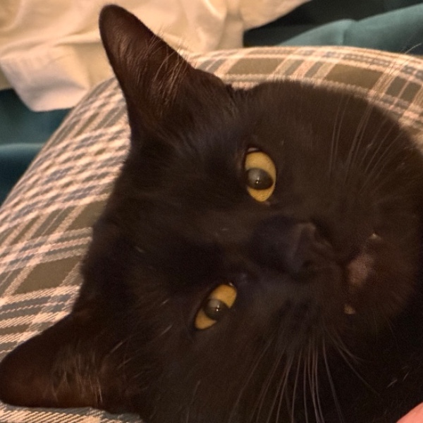 MINITO