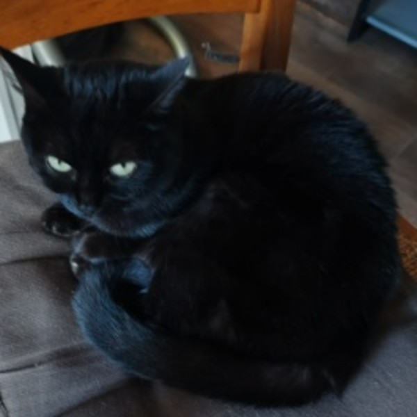 Photo de Mimine