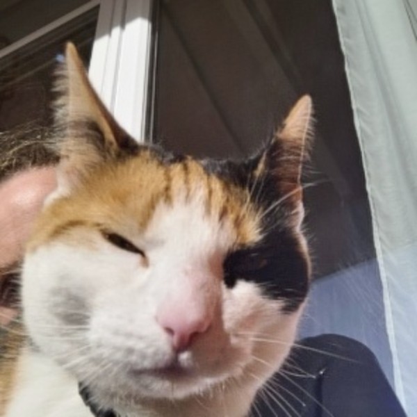 Photo de Penny