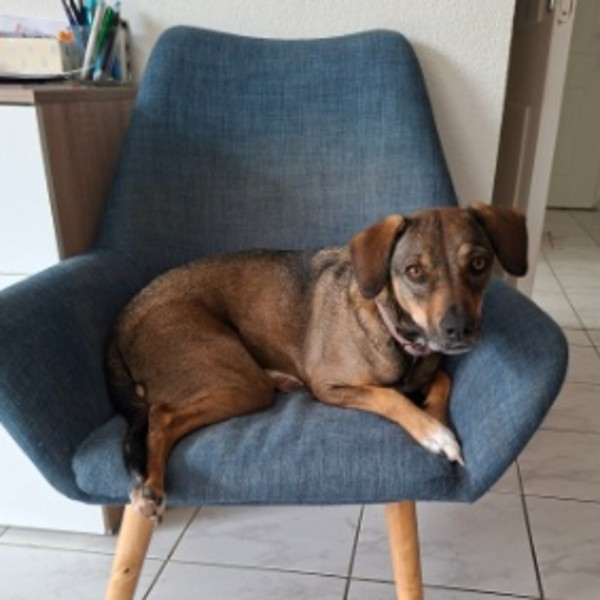 Photo de Nala