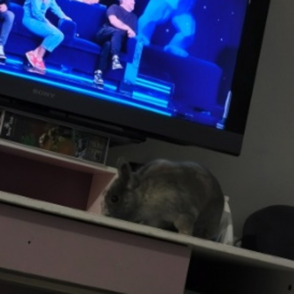 Photo de Caramel
