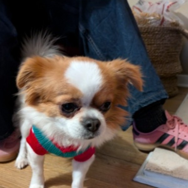 Photo de Buzz