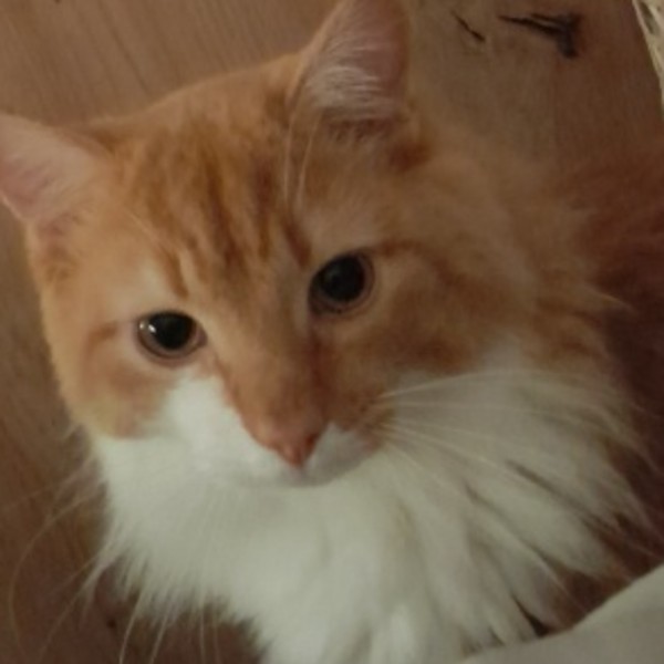Photo de Bouba