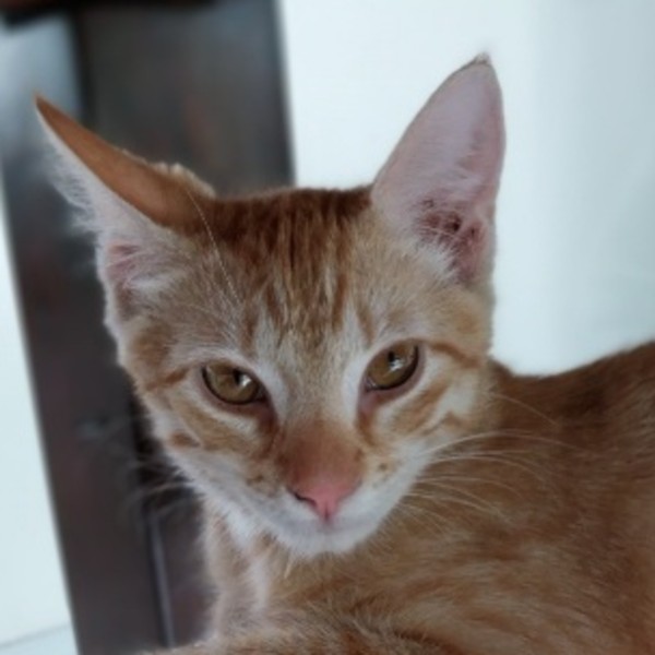 Photo de Michi