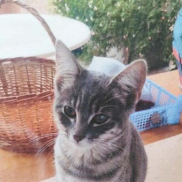 Photo de Mimine