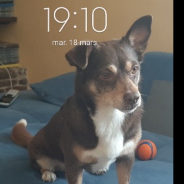 Photo de Eclair