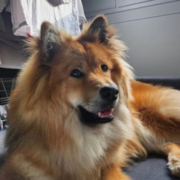 Photo de Viktor