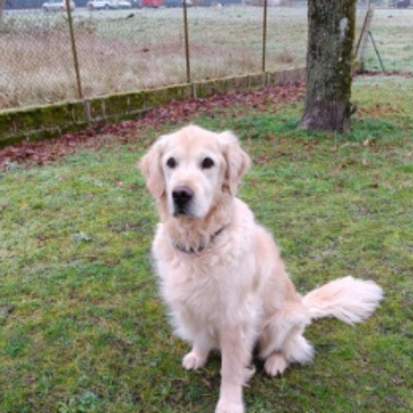 Photo de Marlow