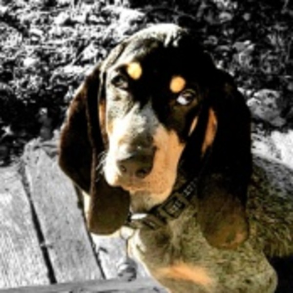 Photo de ATHOS
