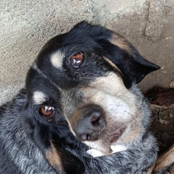 Photo de Hilda