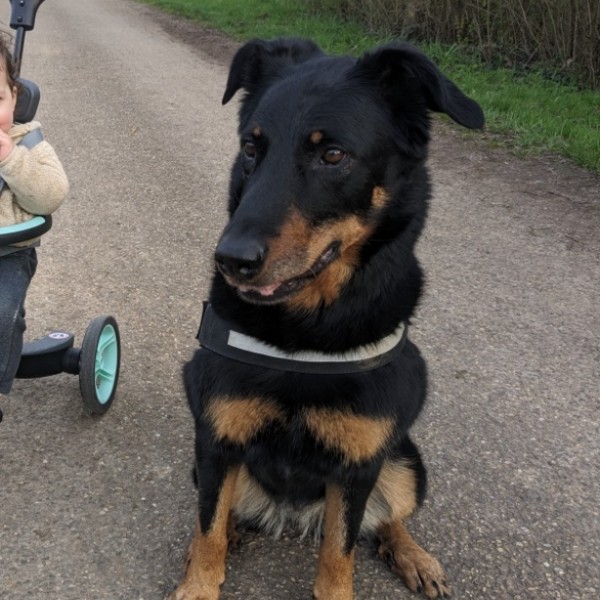 Photo de Navi