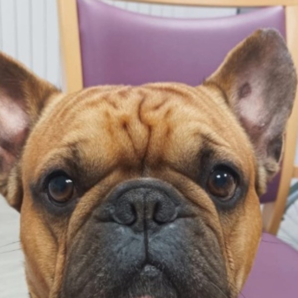Photo de Blue