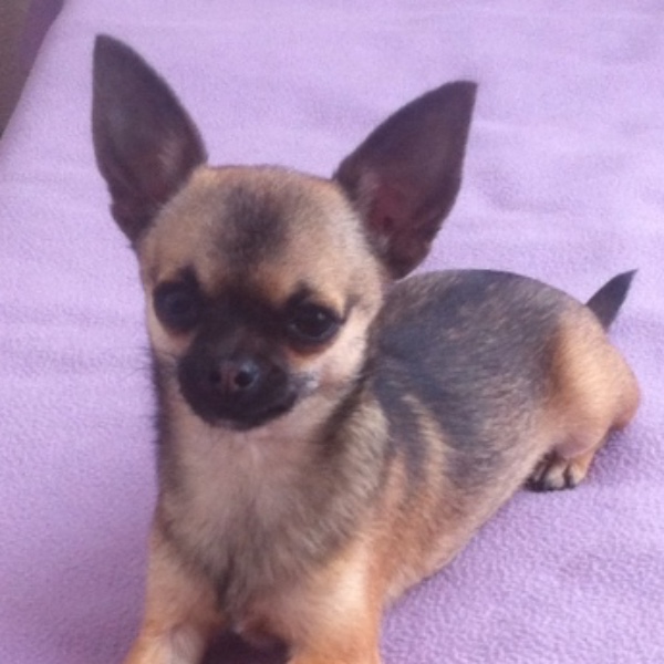 Photo de Lilou