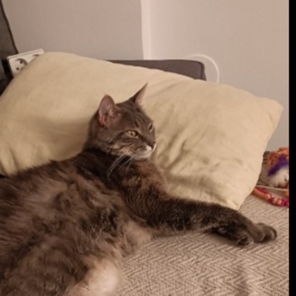 Photo de Figaro