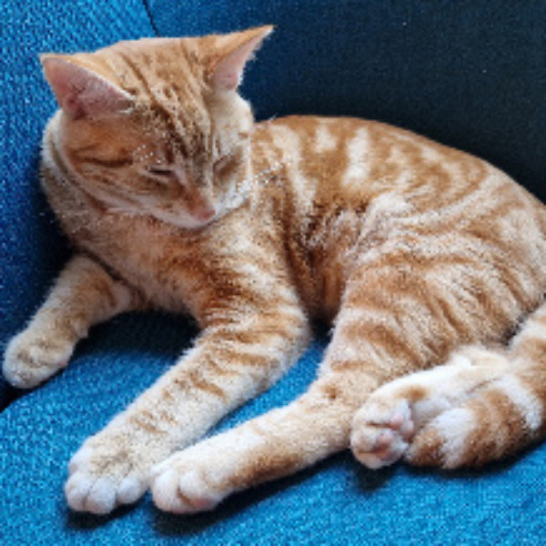 Photo de Kéra