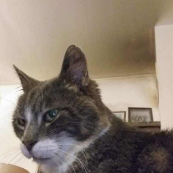 Photo de Bibi