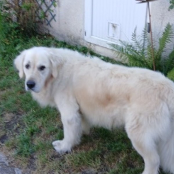 Photo de Néo