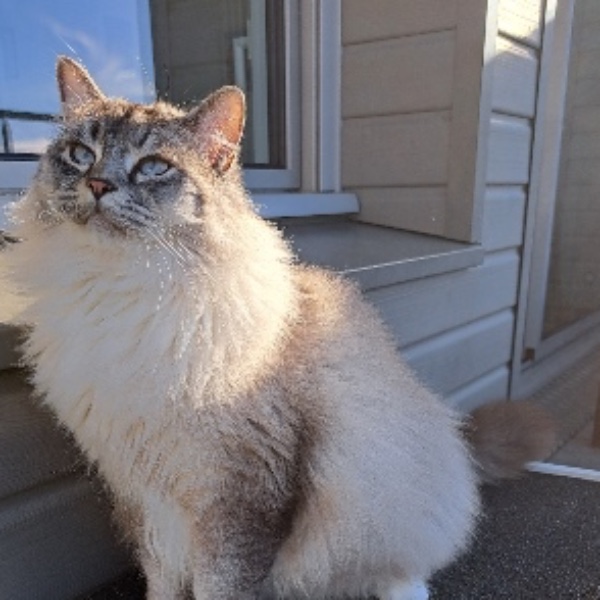 Milo