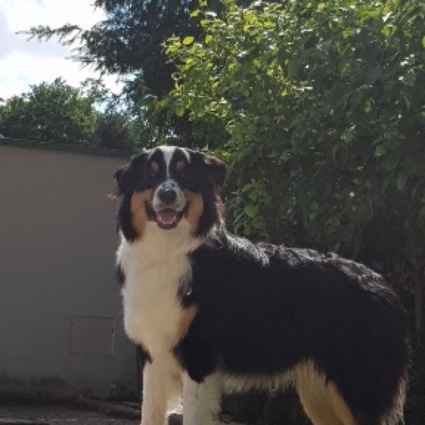 Photo de Démon