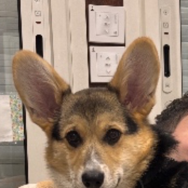 Albert