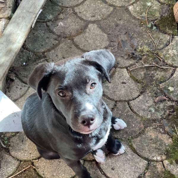 Photo de Roxy
